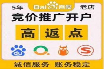 竞价广告投放技巧与案例分析